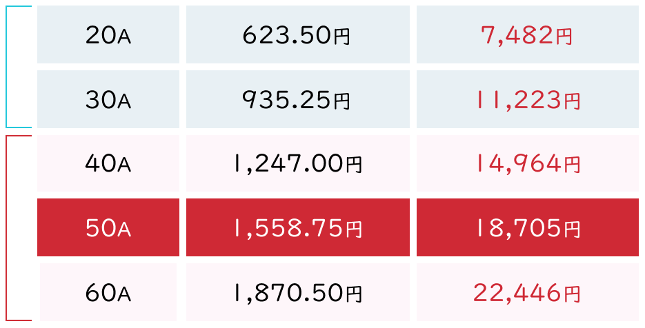 東京電力エナジーパートナー 従量電灯B の基本料金表